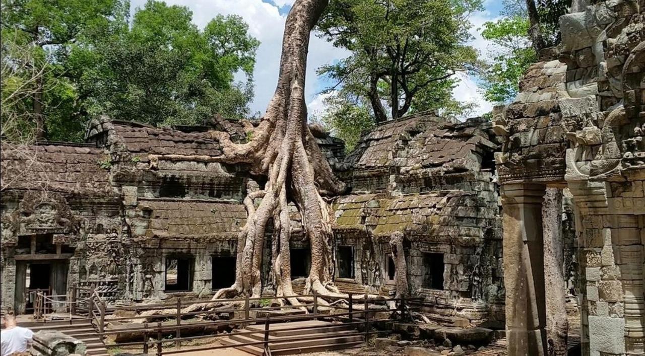 The Palmery Siem Reap Esterno foto