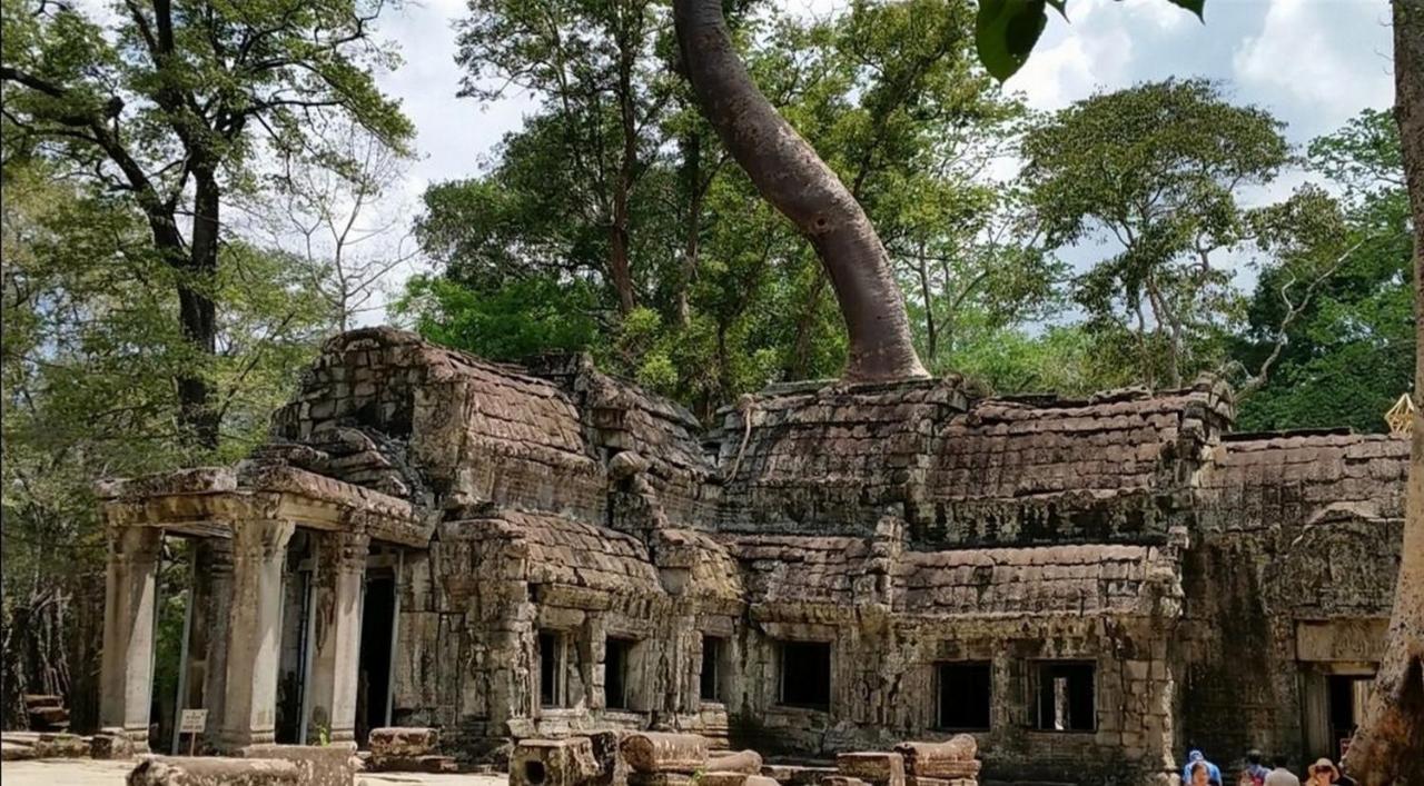 The Palmery Siem Reap Esterno foto